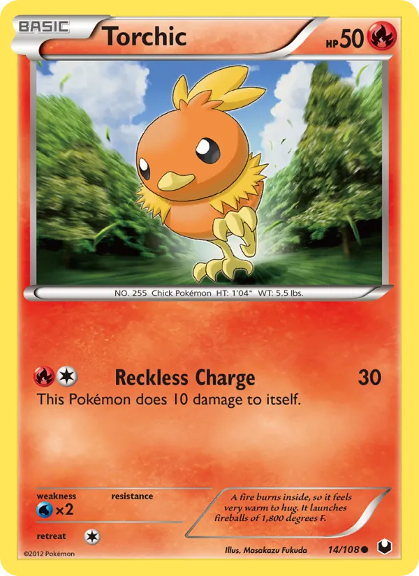 Torchic 14 · Dark Explorers