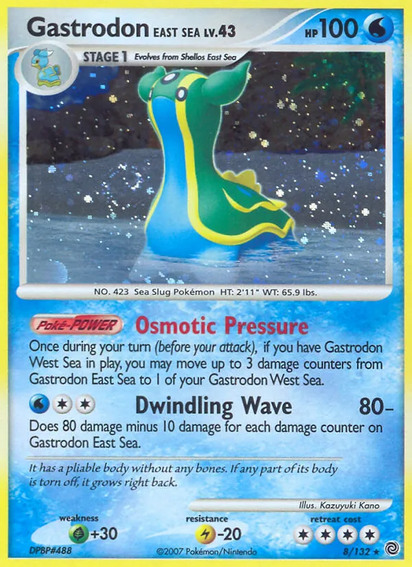 Gastrodon East Sea 8 · Secret Wonders