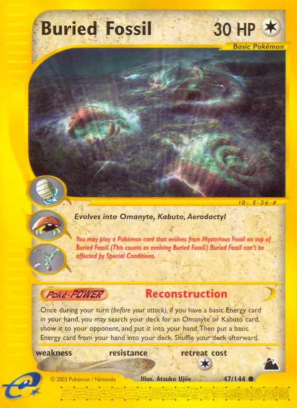 Buried Fossil 47 · Skyridge