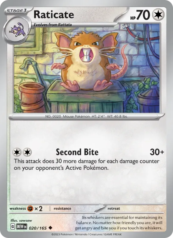 Raticate 020 · 151