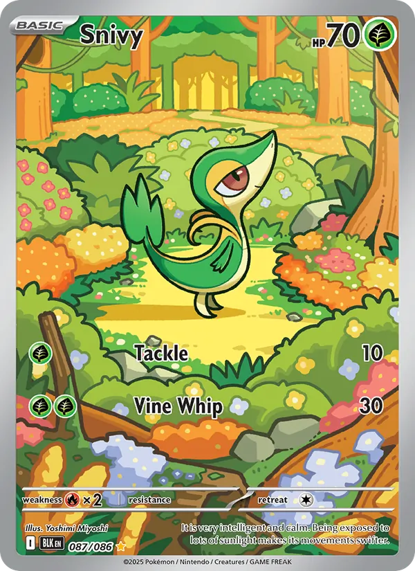 Snivy 087 · Black Bolt