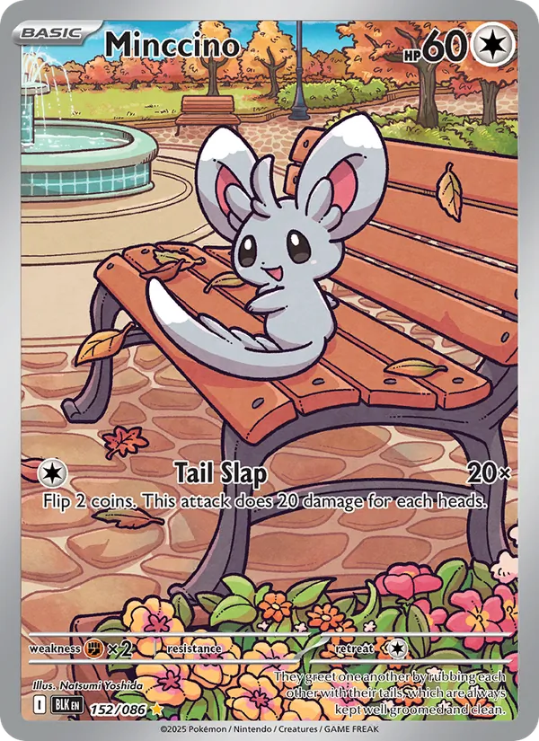 Minccino 152 · Black Bolt