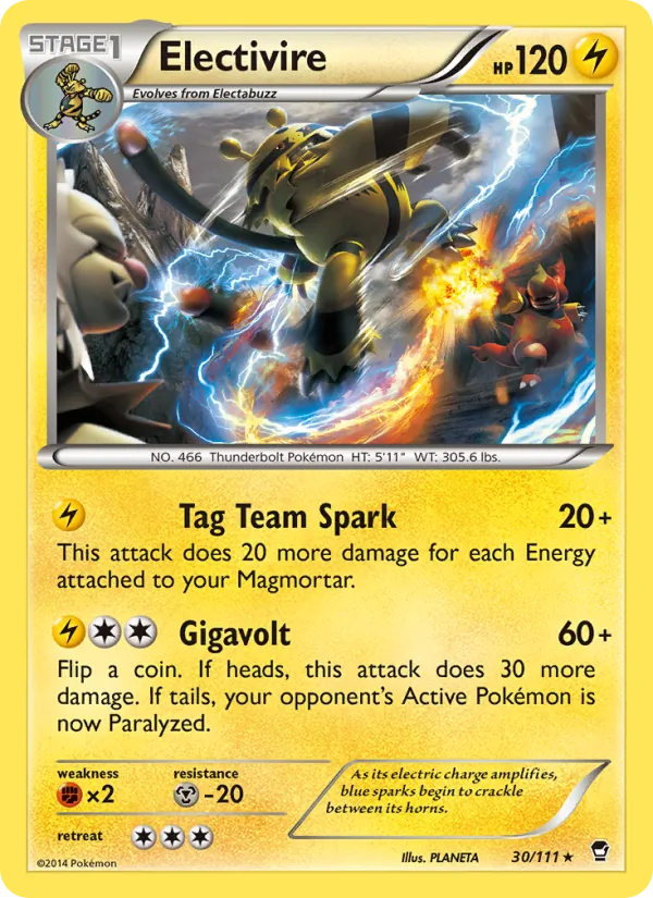 Electivire 30 · Furious Fists
